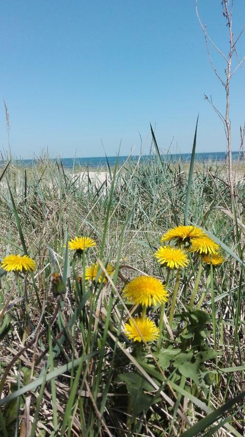 Privatviesnica Zvaigzne Hotel Jurmala Bagian luar foto